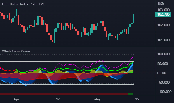 Screenshot of a chart enhanced by a WhaleCrew indicator